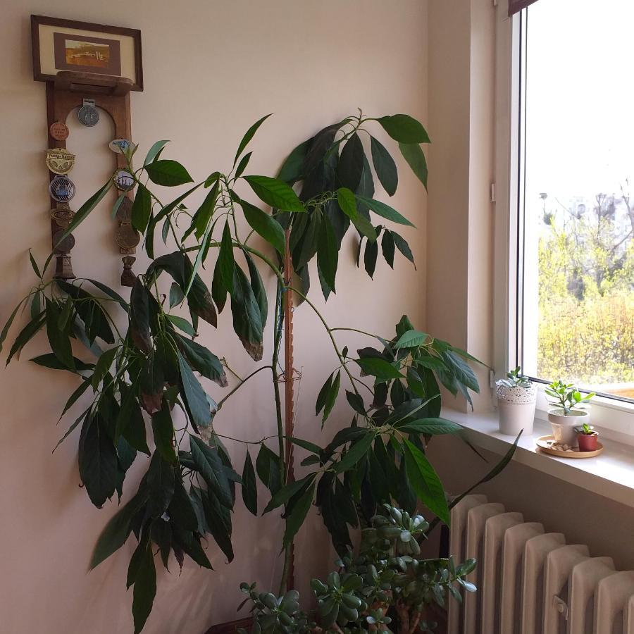 Huoneisto Nad Morzem *